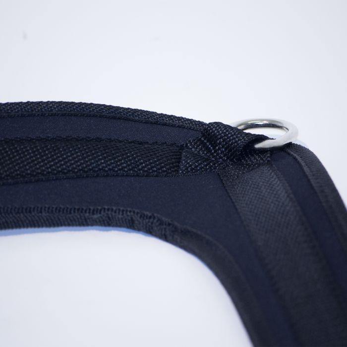 Physical Company Ab Crunch Harness