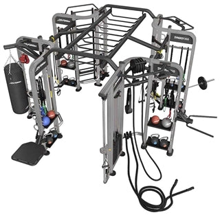 Life Fitness SYNRGY360XL Rig
