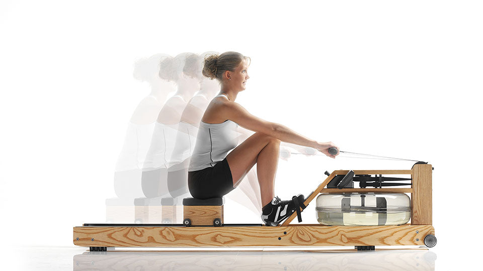 Understanding which muscles work through the rowing movement  