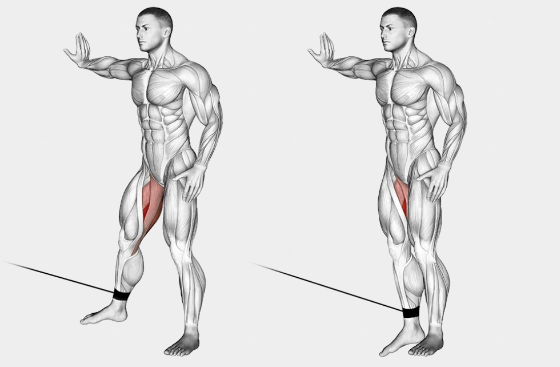 Hip Abductor & Hip Adductor Exercises | Body Weight & Cable  