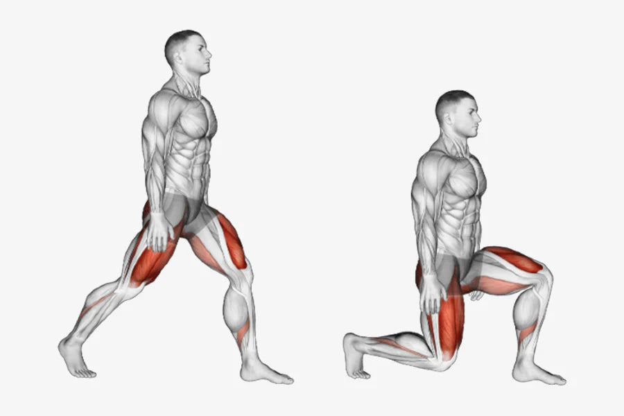 What Muscles Do Lunges Work