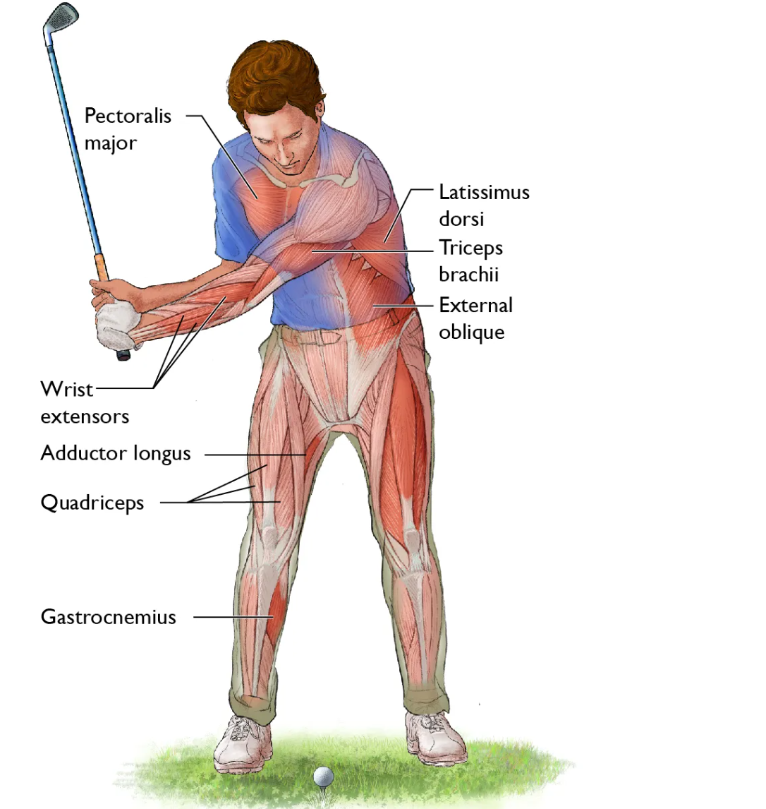 Strength Training & Equipment to improve your Golf  