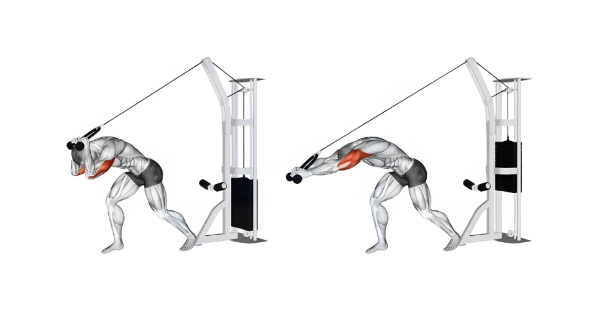 Tricep Extension | How to Perform & Muscles Used