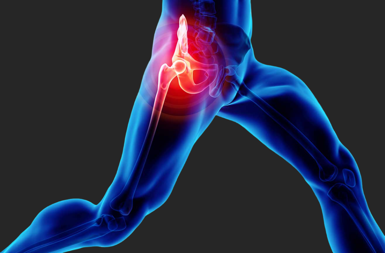 Hip range in movement  