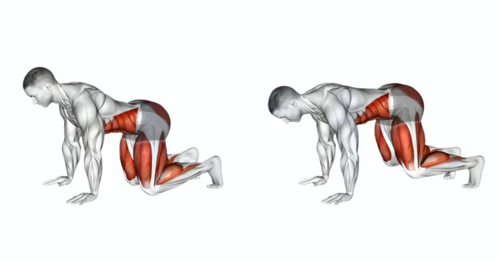 Benefits of a Bear Plank  & Variants  