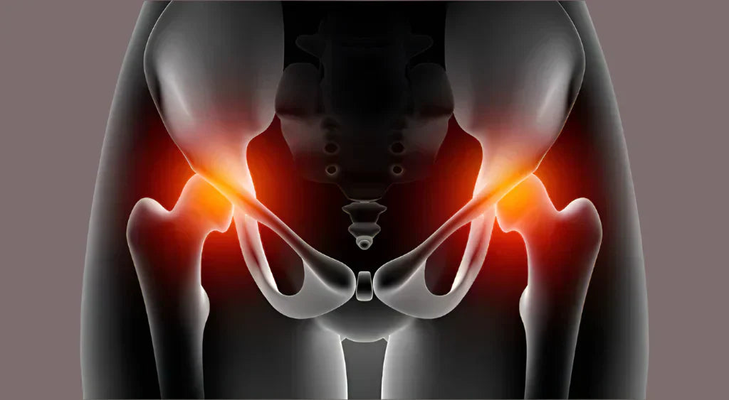 Groin Exploding Male Groin Anatomy