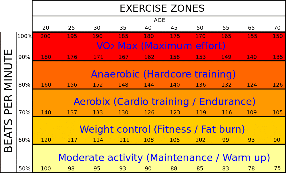 A more technical appreciation of Aerobic & Anaerobic Training  