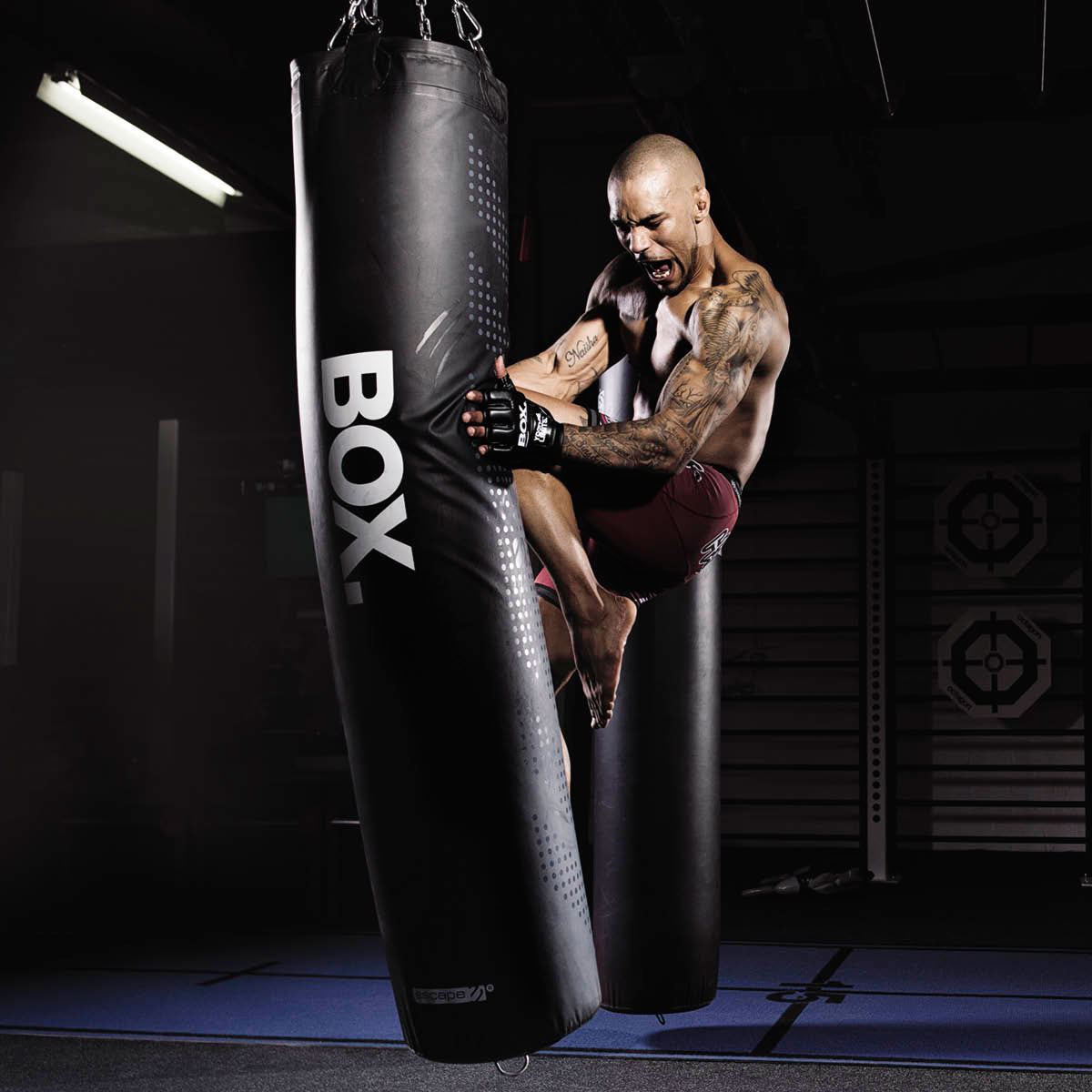 Mixed Martial Arts Equipment & Training Benefits  