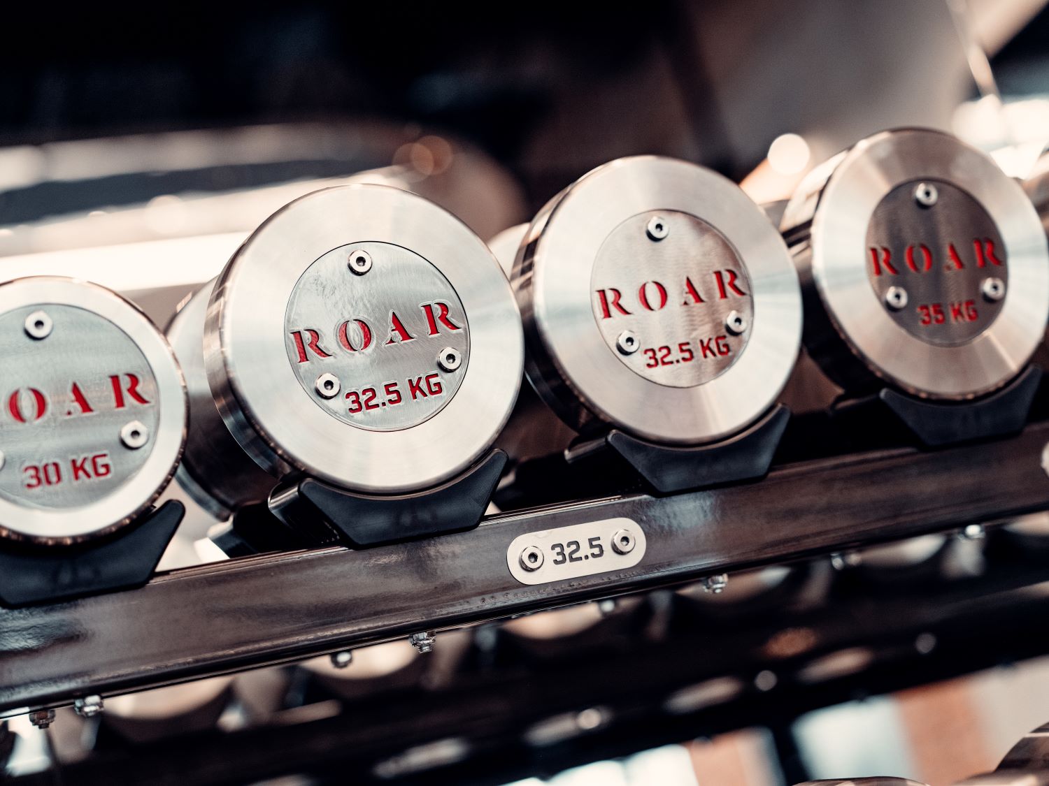 Dumbbells for incline or standing curl  