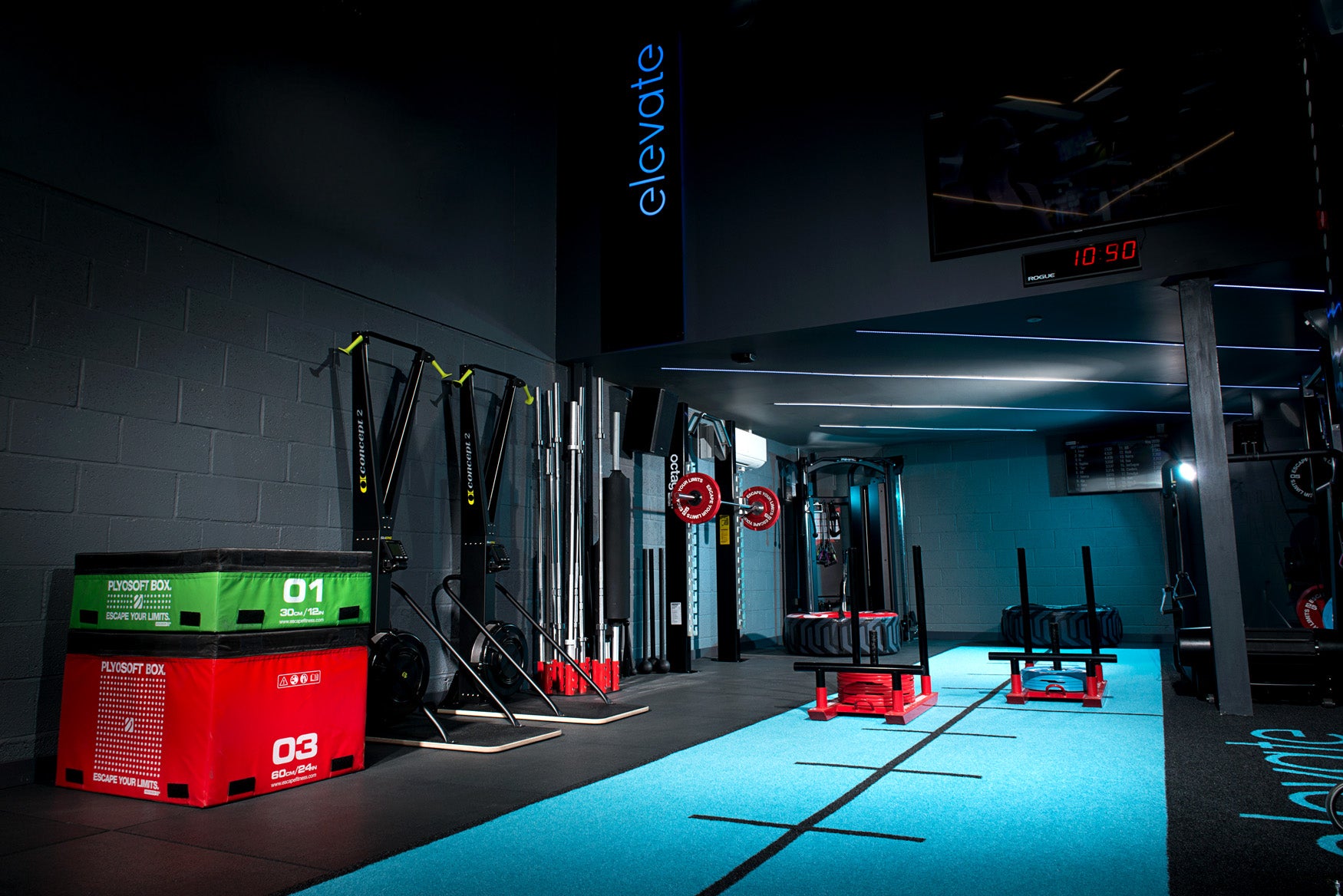 Sprint & Sled Track | Gym Turf