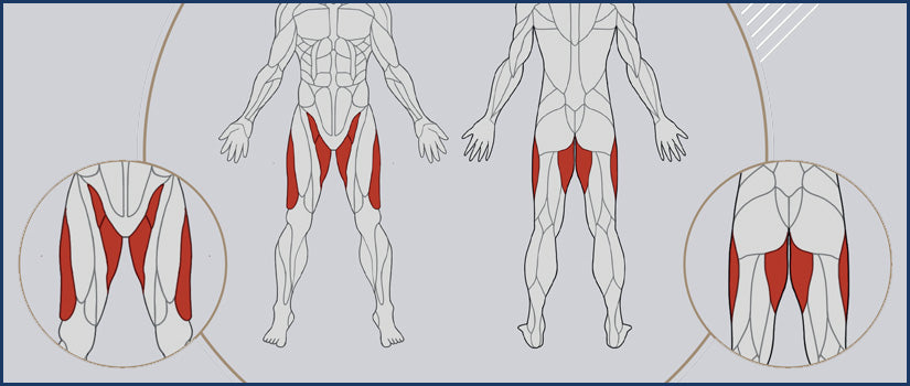 Hip Abductor Machines | Hip Adductor Machine
