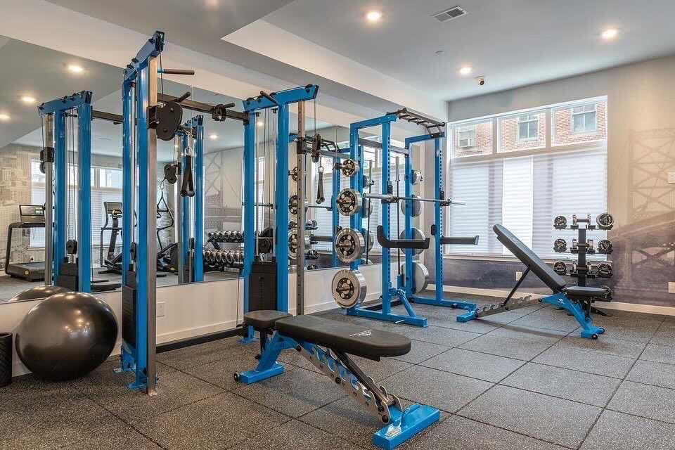 Watson Custom Strength Range