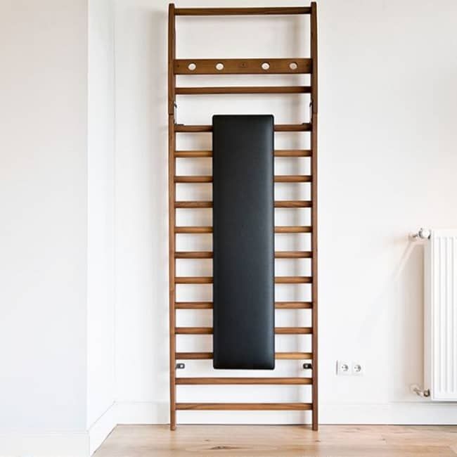 Gym Wall Bars | Swedish Ladder