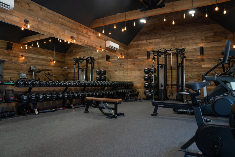 Garden Outbuilding Gym Design with life fitness strength