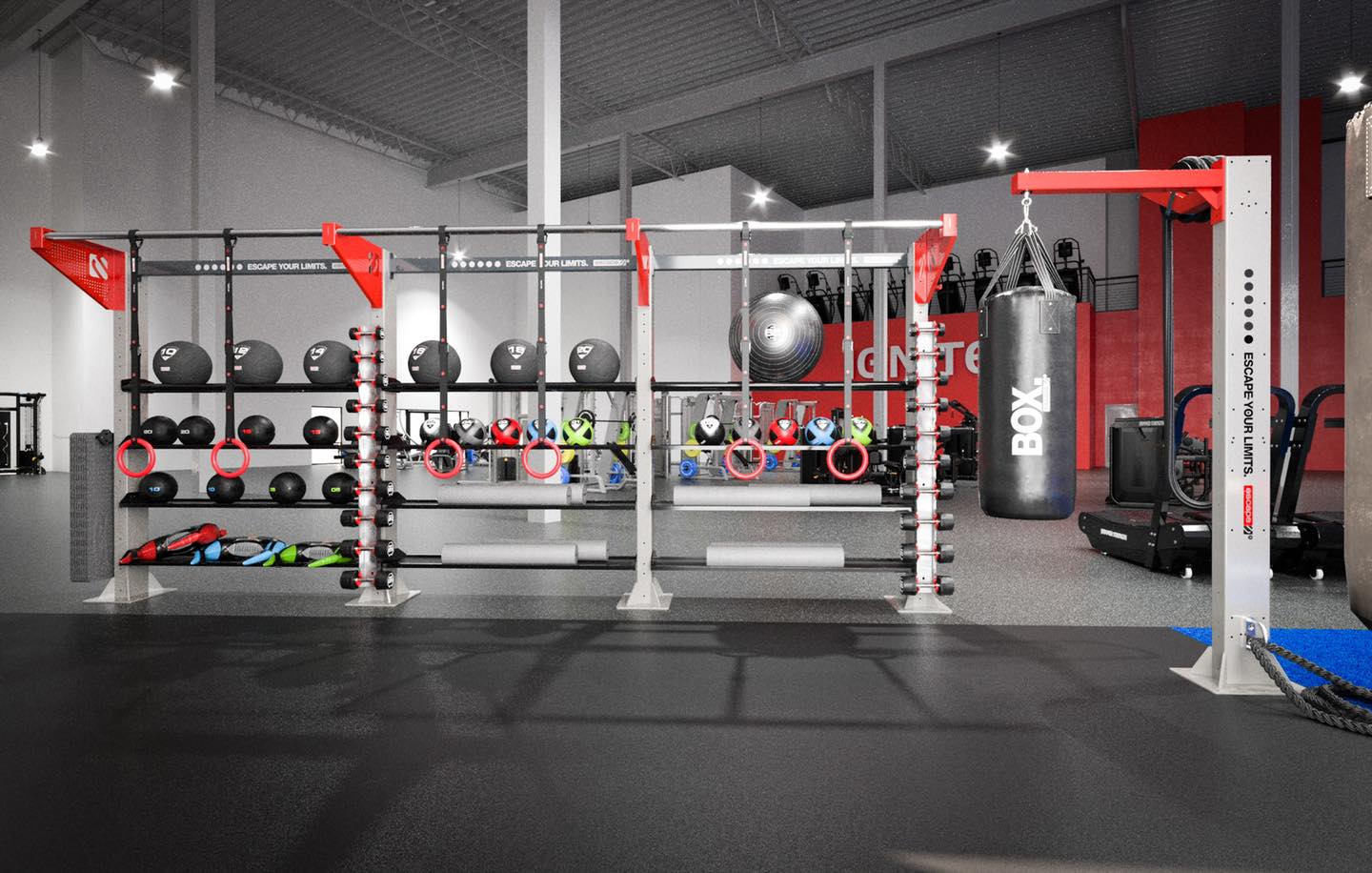 school and university gym design visual with rig and boxing