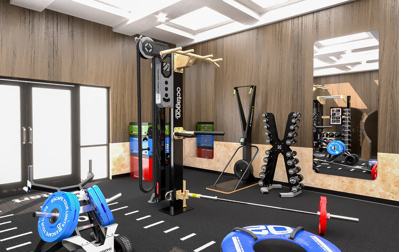 CrossFit Home Family Gym Design
