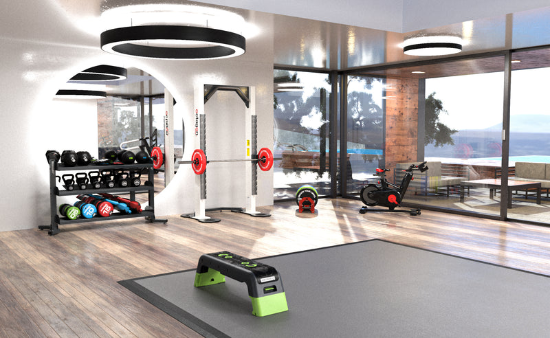 Stylish contemporary Home Gym Design for family