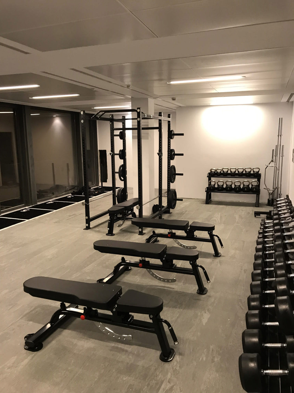 PaviFlex Fitness Pro