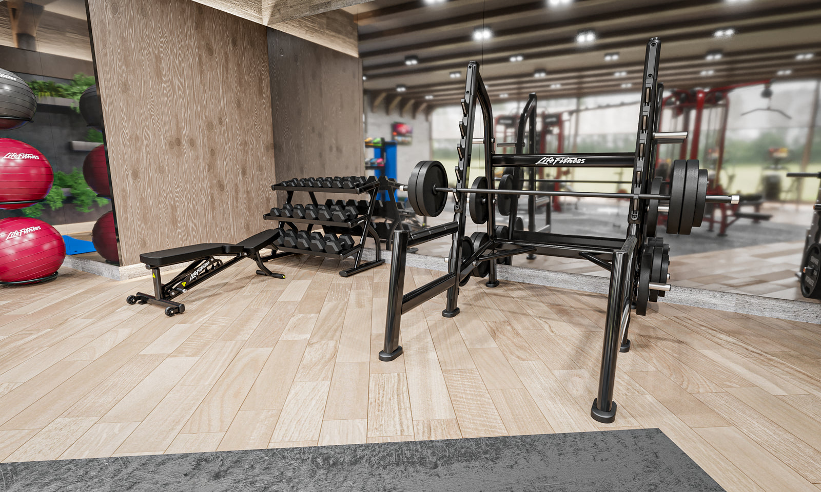 Life Fitness Hotel mixed training area  