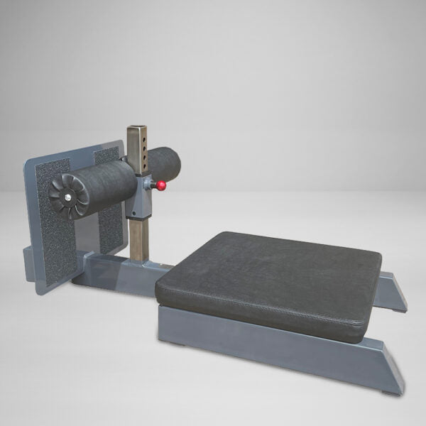 Watson Economy Glute Ham Raise