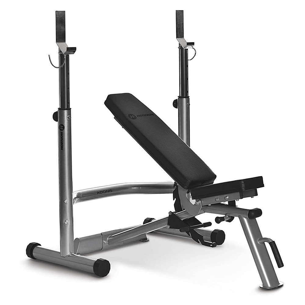 Horizon Adonis Bench plus Rack
