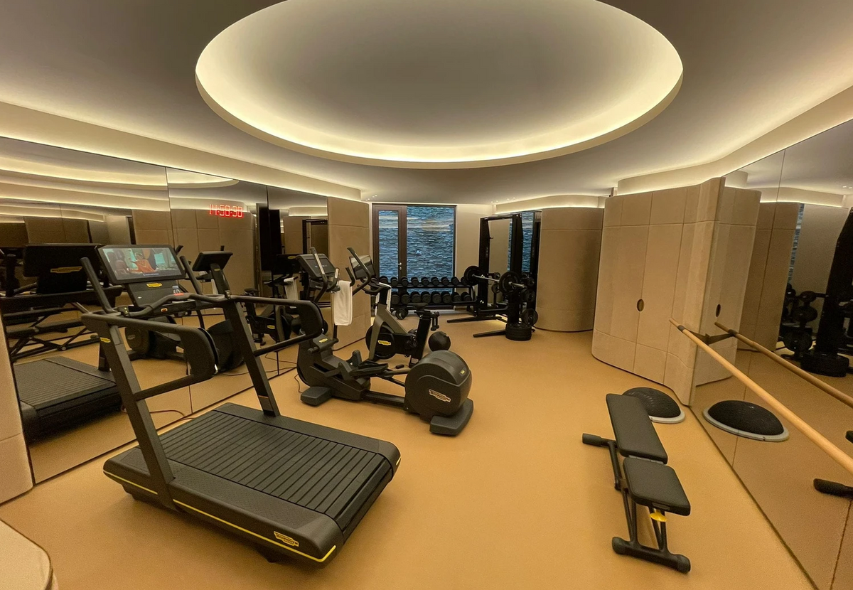 PaviFlex Fitness Pro