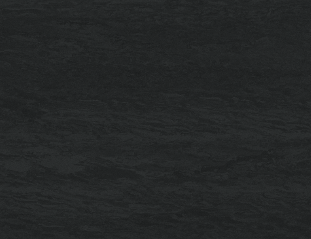 PaviFlex Fitness Pro