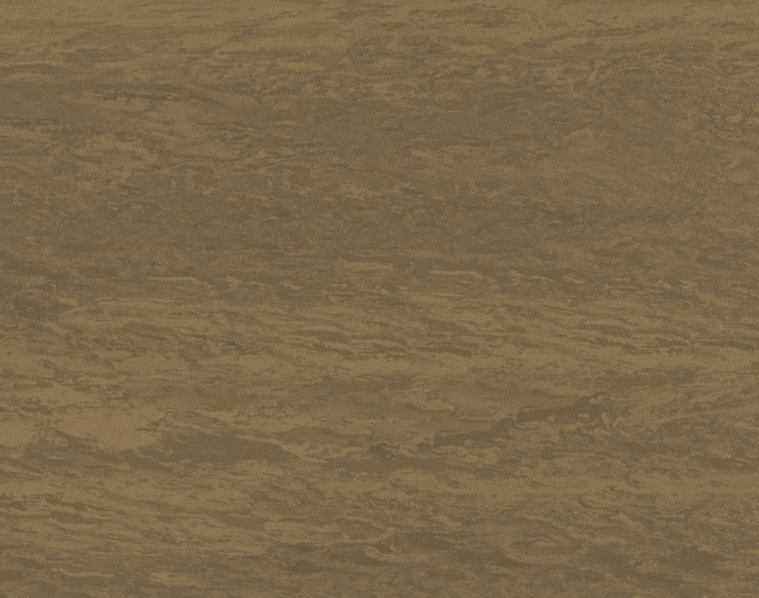 PaviFlex Fitness Pro