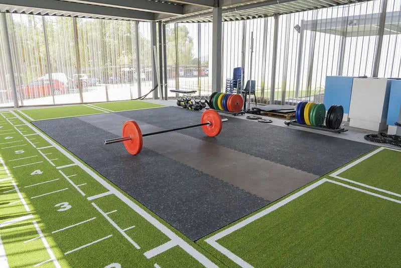 Pavigym Weightlifting