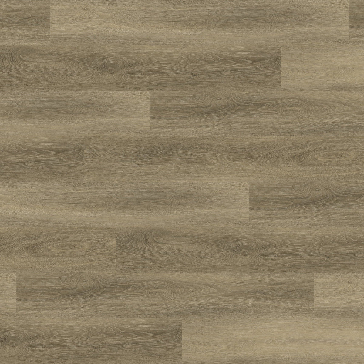 SHUSH! Acoustic Glue Down Plank