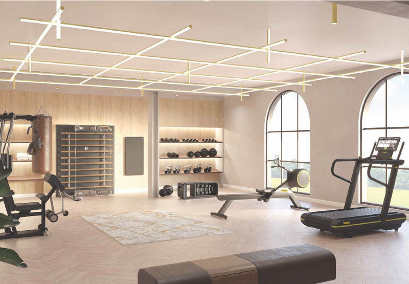 Luxury contemporary home gym design & flooring