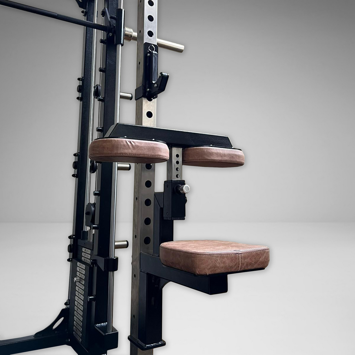 Animal Power Gym Lat Pulldown Attachment