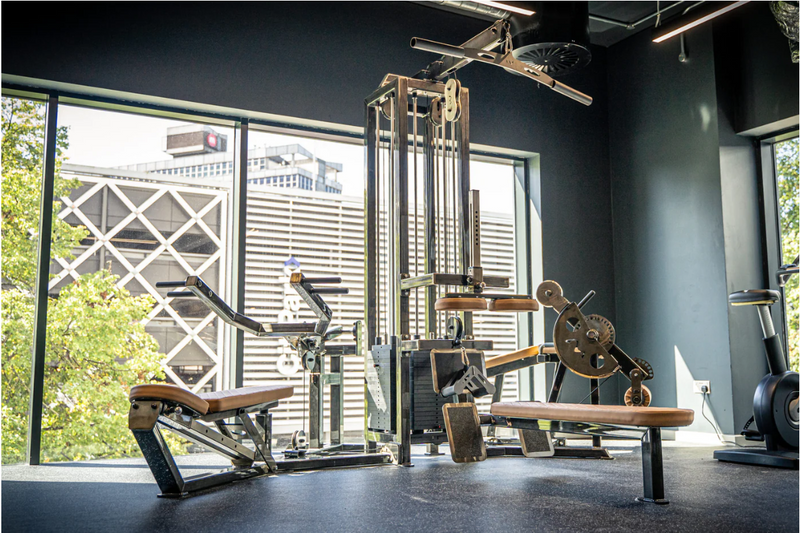 Watson Luxury Home Gym Design with custom paint work & upholstery