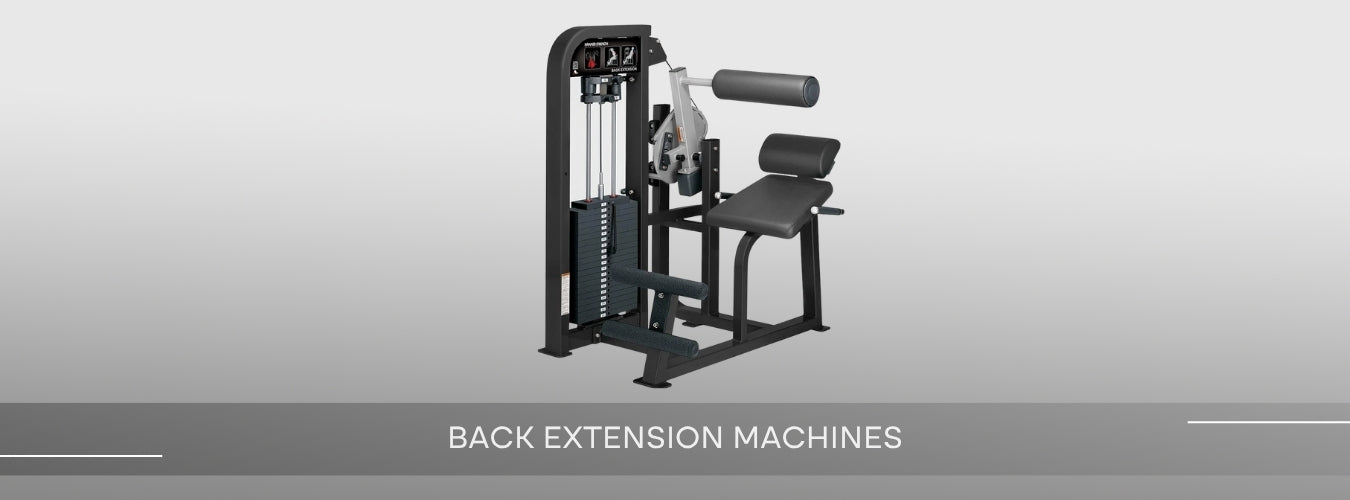 Back Extensor Strengthening Machine Back Extension Machine - Training Station