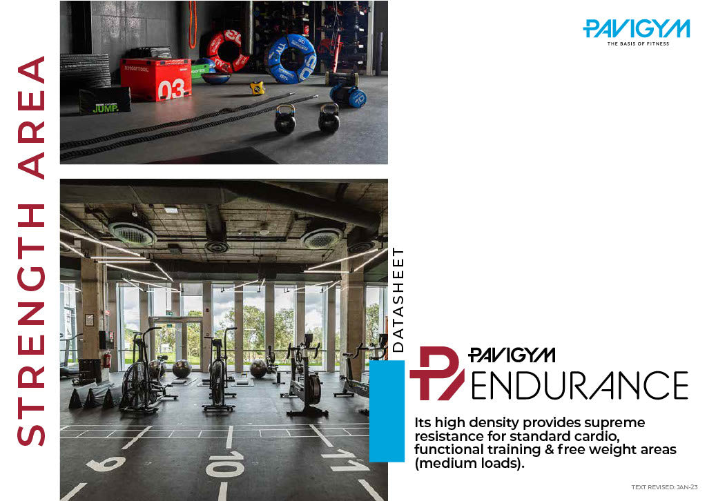 Pavigym Endurance