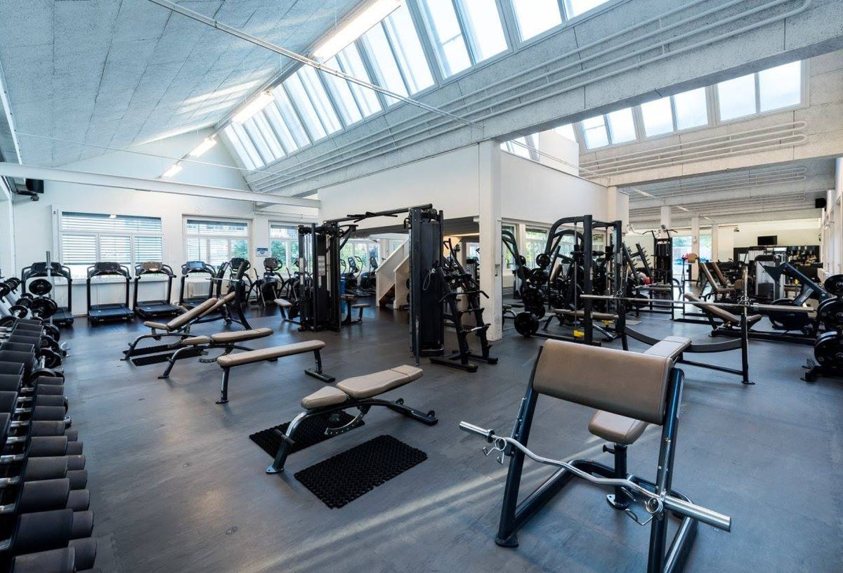 Pavigym Endurance S&amp;S