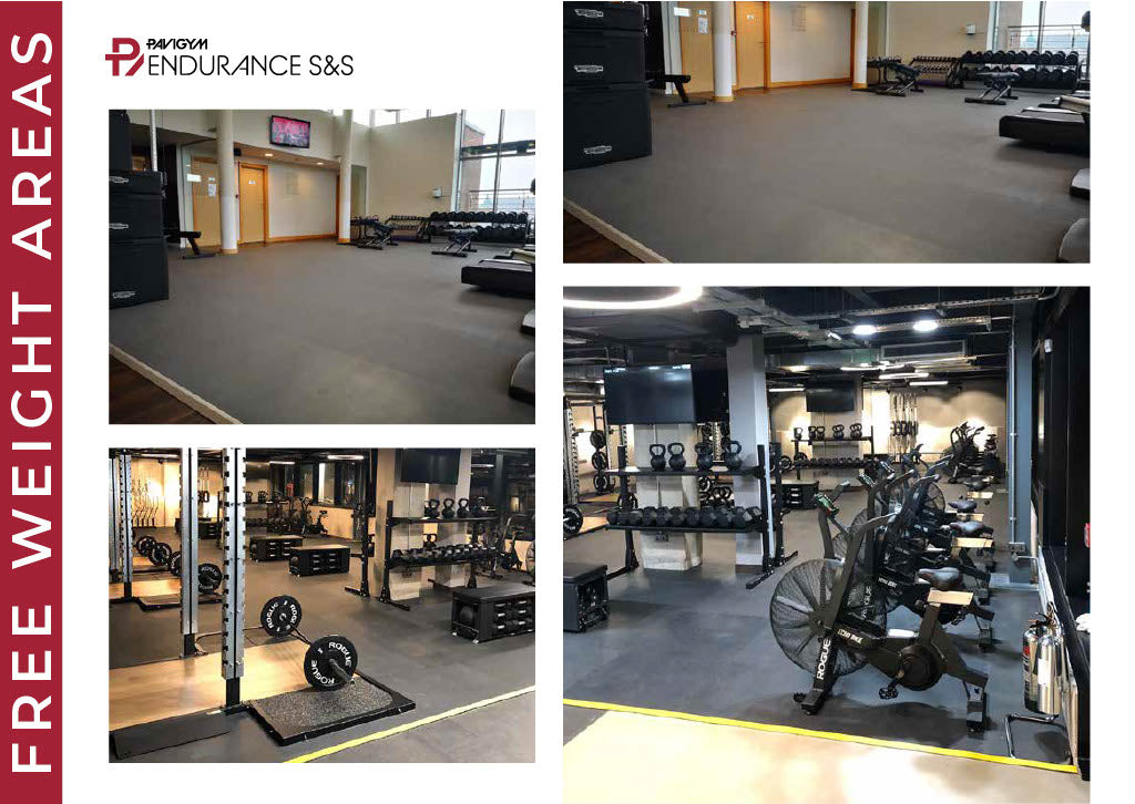 Pavigym Endurance S&amp;S