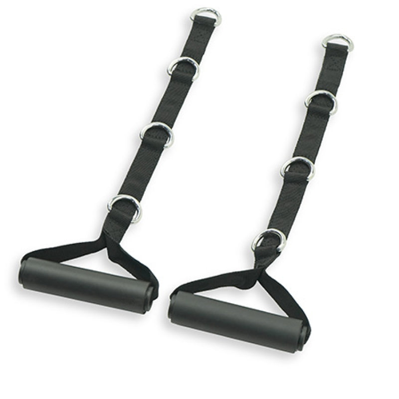 Inspire Fitness Multi-Ring Handle