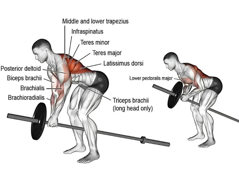 Spirit Fitness CT980 Treadmill