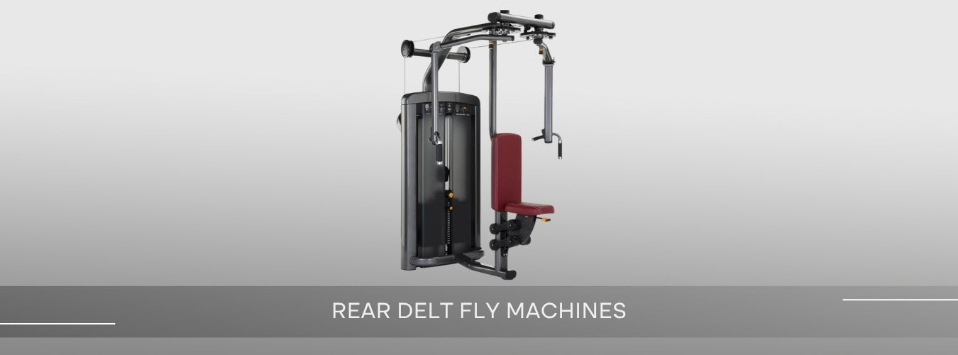 Rear Delt Fly Machines Banner