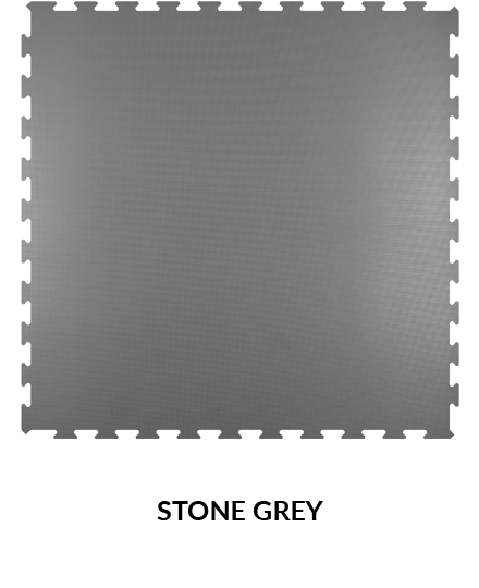 Pavigym Motion - Main Image