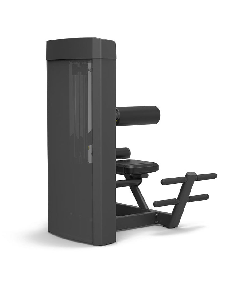 Spirit 43 Pin Select Back Extension Machine