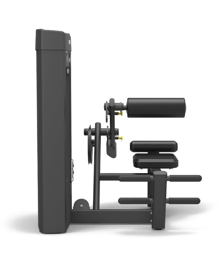 Spirit 43 Pin Select Back Extension Machine