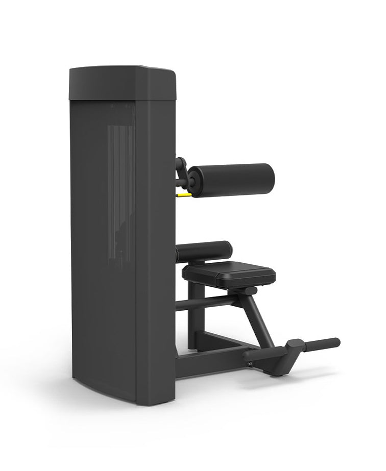 Spirit 43 Pin Select Abdominal Machine