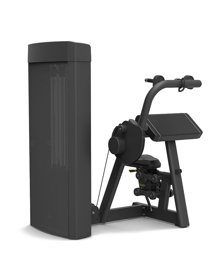 Spirit 43 Pin Select Triceps Extension Machine