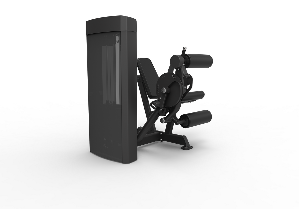 Spirit Dual Leg Extension / Leg Curl