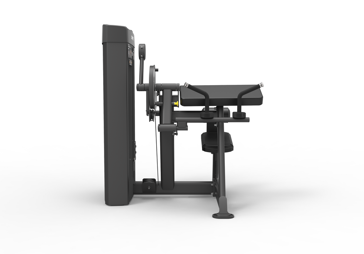 Spirit Dual Biceps Curl / Triceps Extension