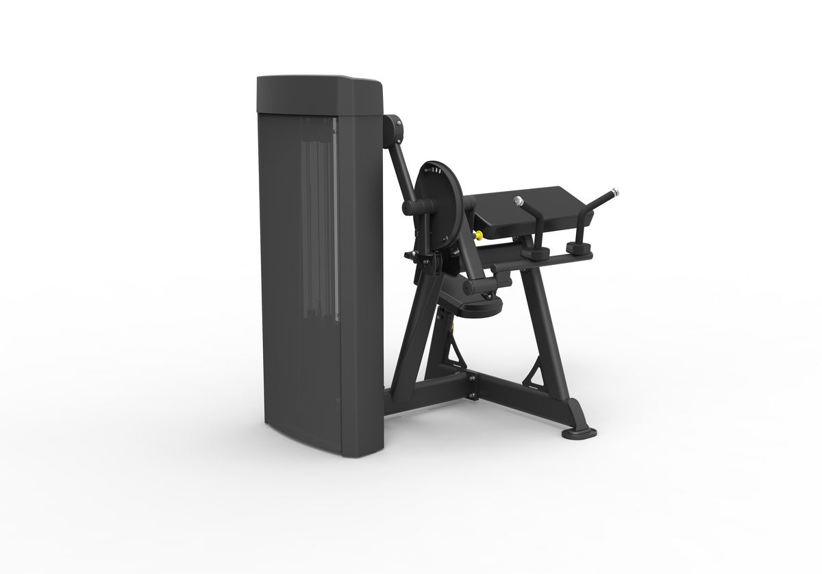 Spirit Dual Biceps Curl / Triceps Extension