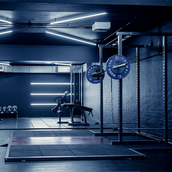 Watson Animal Lifting Platform