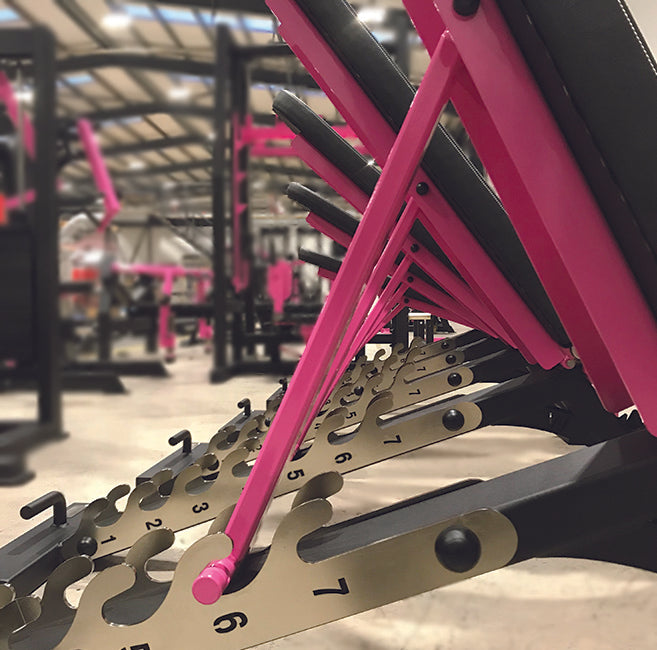 Watson Adjustable Bench